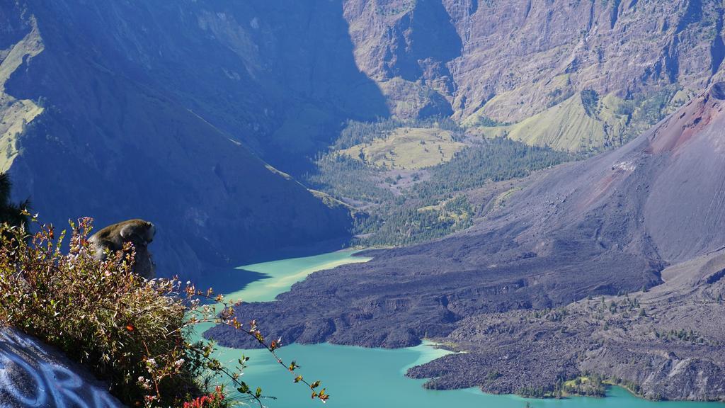 Rinjani Trails Hotel سينارو المظهر الخارجي الصورة